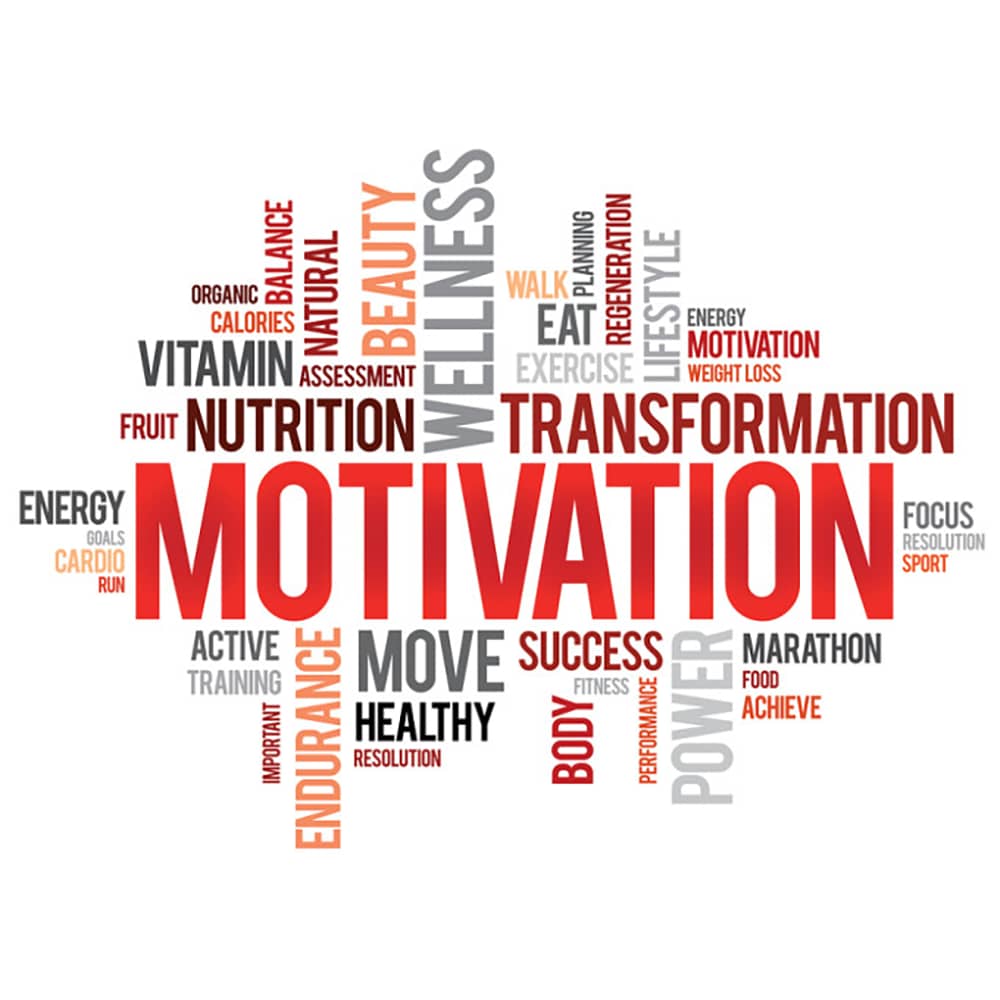 Hello! I am Eleni Yiambilis, founder of ELNRG.com. I am a motivational public speaker and certified Life and Thought Process Coach with an extensive background in the health and wellness industry.
