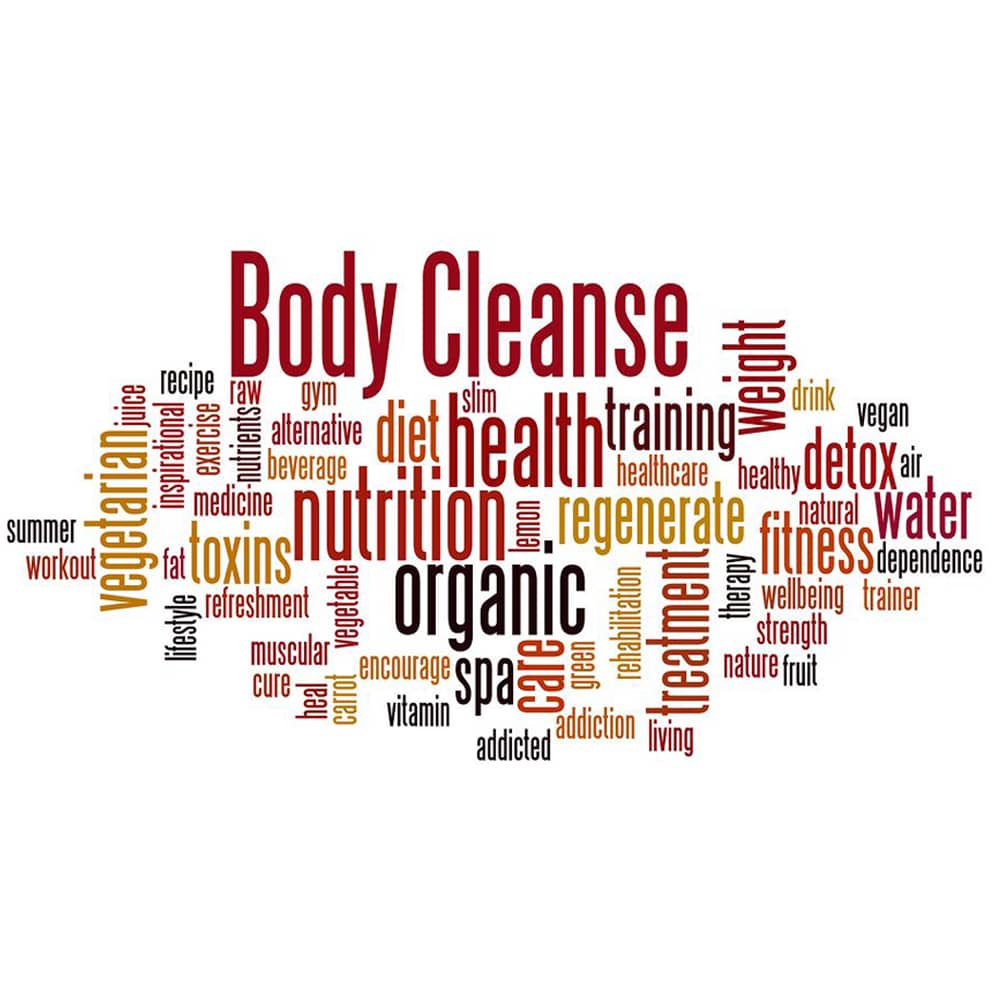 Hello! I am Eleni Yiambilis, founder of ELNRG.com. I am a motivational public speaker and certified Life and Thought Process Coach with an extensive background in the health and wellness industry.